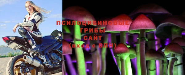 дурь Богородск