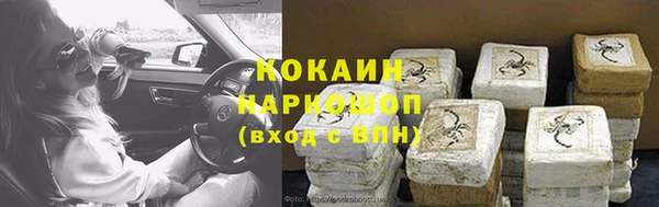 прущие грибы Бронницы