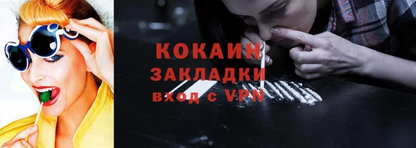 прущие грибы Бронницы