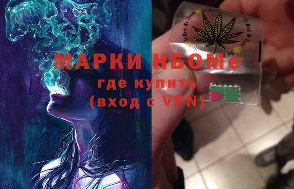 прущие грибы Бронницы