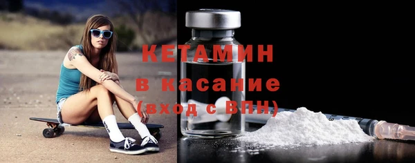 прущие грибы Бронницы