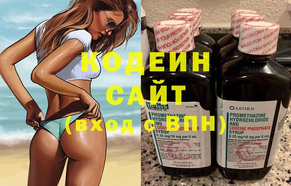 прущие грибы Бронницы