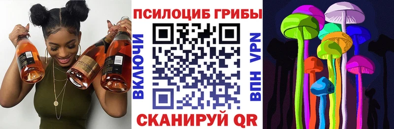 Псилоцибиновые грибы ЛСД  Купить где  Устюжна 